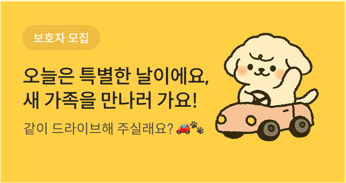 오늘은 특별한 날이에요. 새 가족을 만나러 가요!